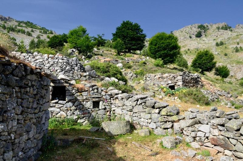 A.Casetta Santo-Pietro-di-Venaco Εξωτερικό φωτογραφία